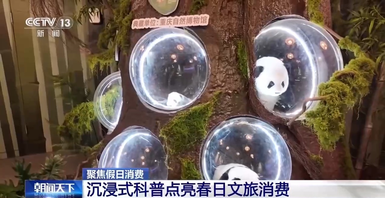 
西安各大医院黄牛代挂号电话票贩子号贩子网上预约挂号,住院检查加快,沉浸式科普+儿童友好服务 假期带娃这样玩→