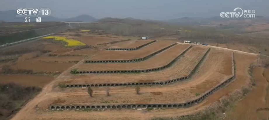 长沙各大医院黄牛代挂号电话票贩子号贩子网上预约挂号,住院检查加快,“墓隐于林、碑融于景” 节地生态葬数量逐年增多