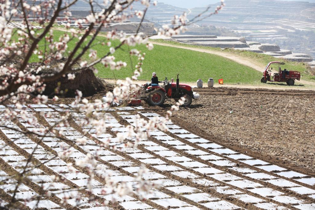
北大口腔医院黄牛代挂号电话票贩子号贩子网上预约挂号,住院检查加快,秀我中国｜清明：一年一清明 春深寄远情
