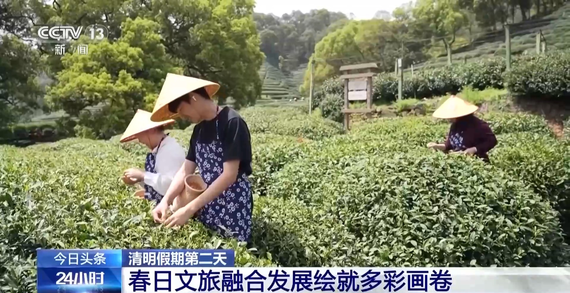
广州中山眼科医院黄牛代挂号电话票贩子号贩子网上预约挂号,住院检查加快,赏花品茶探古韵 春日文旅融合发展绘就多彩画卷