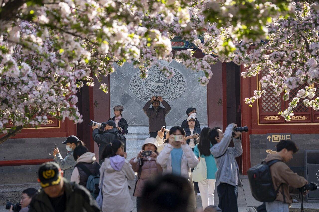 
山东大学齐鲁医院黄牛代挂号电话票贩子号贩子网上预约挂号,住院检查加快,全民“追花地图”！原来有这么多“花样”玩法