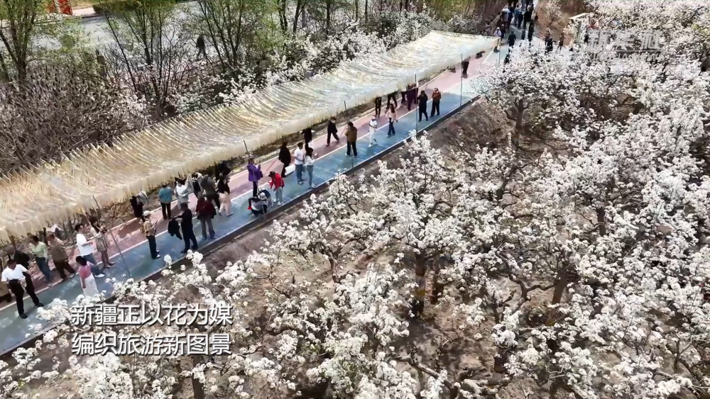 北大口腔医院黄牛代挂号电话票贩子号贩子网上预约挂号,住院检查加快,新疆以花为媒 绘旅游新图景