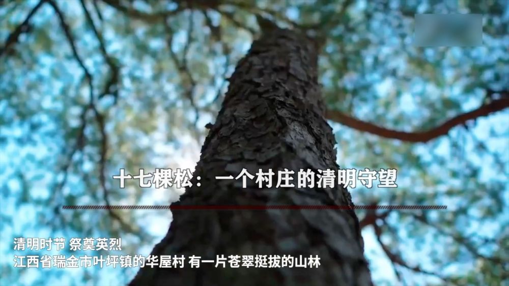 
浙江第二医院黄牛代挂号电话票贩子号贩子网上预约挂号,住院检查加快,新华视点｜英魂归山河 风骨励后人