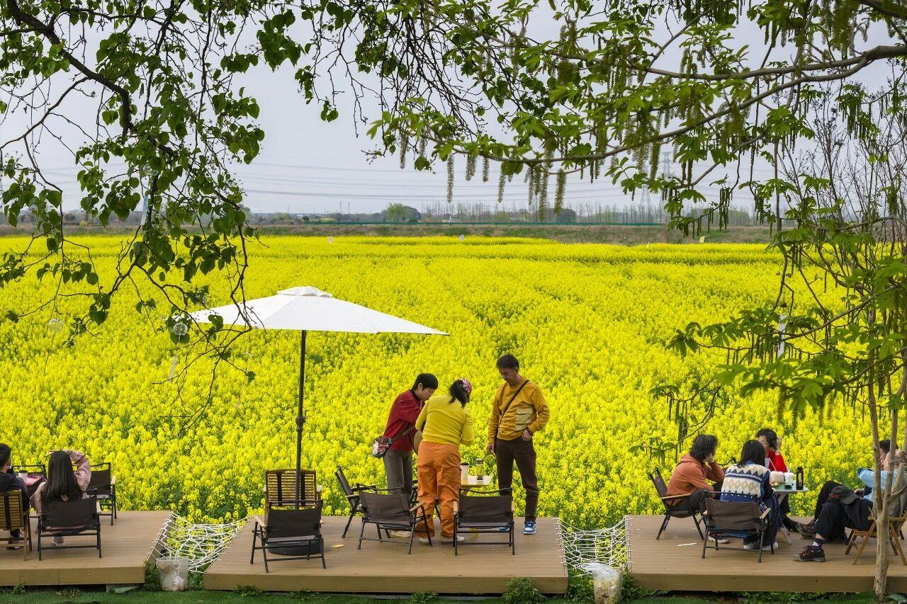 
山东大学齐鲁医院黄牛代挂号电话票贩子号贩子网上预约挂号,住院检查加快,全民“追花地图”！原来有这么多“花样”玩法