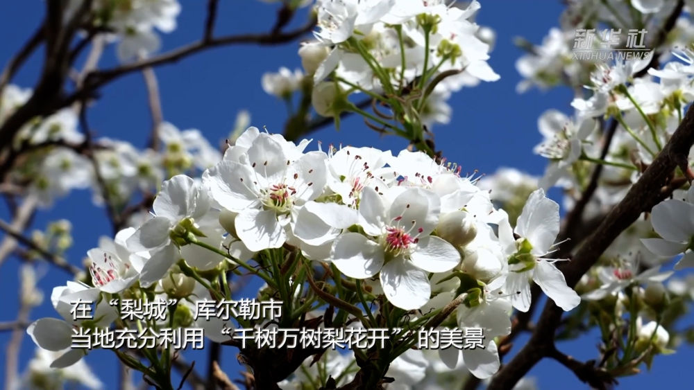 
北大口腔医院黄牛代挂号电话票贩子号贩子网上预约挂号,住院检查加快,新疆以花为媒 绘旅游新图景