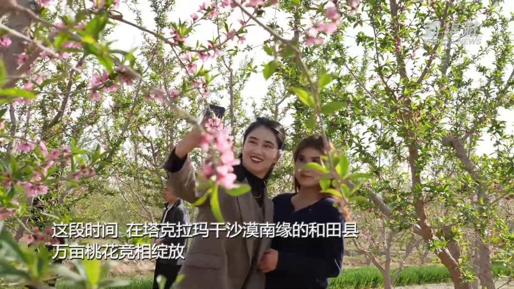 北大口腔医院黄牛代挂号电话票贩子号贩子网上预约挂号,住院检查加快,新疆以花为媒 绘旅游新图景