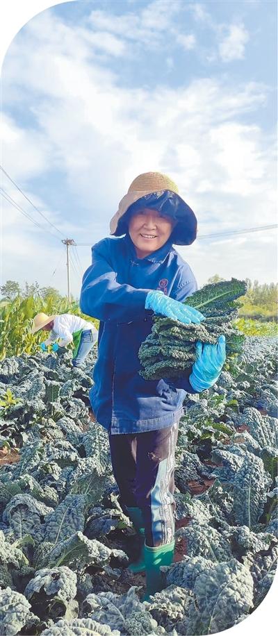 
杭州市人民医院黄牛代挂号电话票贩子号贩子网上预约挂号,住院检查加快,瞧瞧菜篮子里的新变化（经济聚焦·农田里的新鲜事）