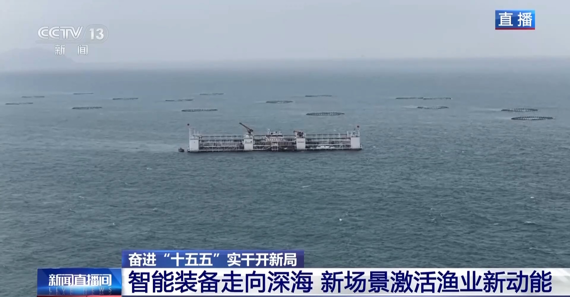 
杭州市人民医院黄牛代挂号电话票贩子号贩子网上预约挂号,住院检查加快,奋进“十五五” 实干开新局丨经验养殖→数据驱动 新场景激活渔业新动能