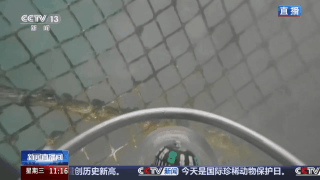 
杭州市人民医院黄牛代挂号电话票贩子号贩子网上预约挂号,住院检查加快,奋进“十五五” 实干开新局丨经验养殖→数据驱动 新场景激活渔业新动能