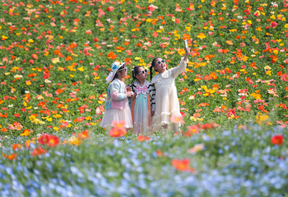 
广州中医院黄牛代挂号电话票贩子号贩子网上预约挂号,住院检查加快,Color Walk、赏味游……这个假期你更爱哪种？