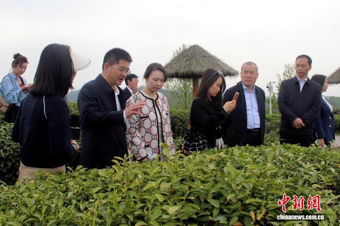 
首都医科大学附属阜外医院黄牛代挂号电话票贩子号贩子网上预约挂号,住院检查加快,“凝心聚力·共话发展”2026海外侨领安康行交流活动举行