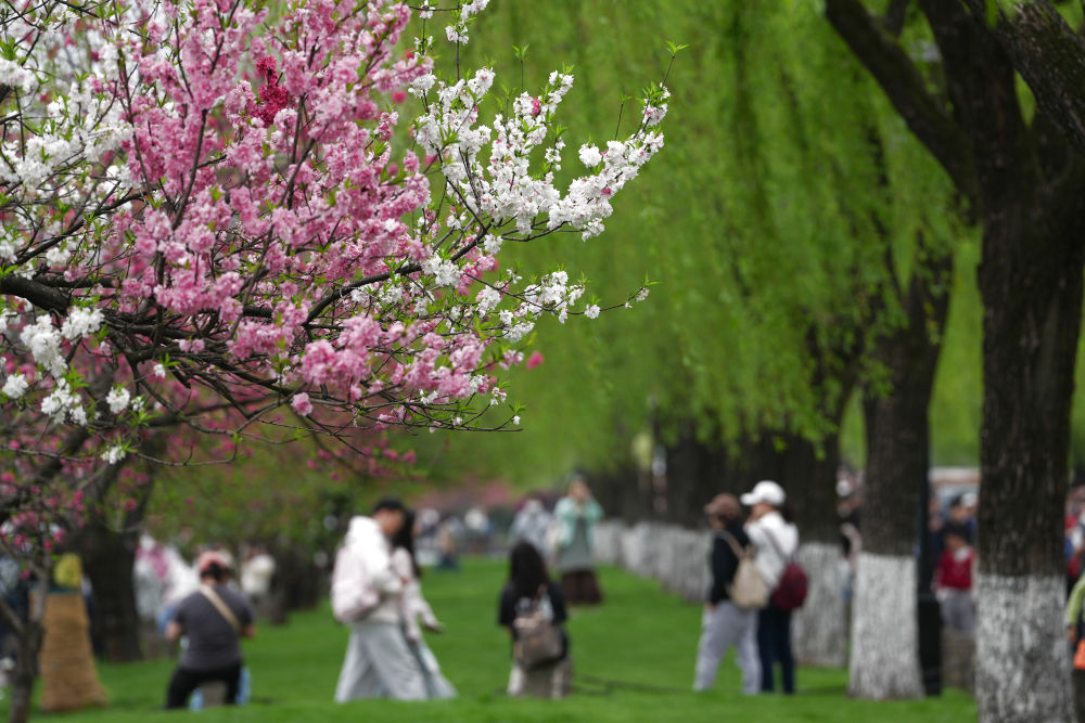 
广州中医院黄牛代挂号电话票贩子号贩子网上预约挂号,住院检查加快,Color Walk、赏味游……这个假期你更爱哪种？