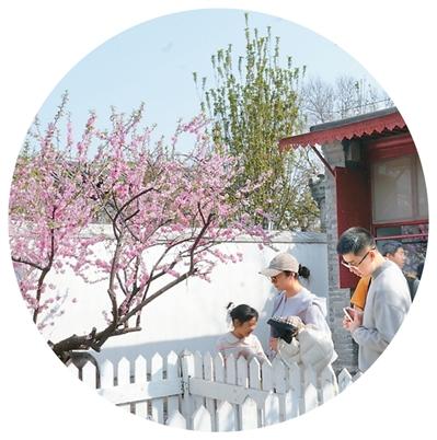 
东部战区总医院黄牛代挂号电话票贩子号贩子网上预约挂号,住院检查加快,走进名人故居 寻访文学现场