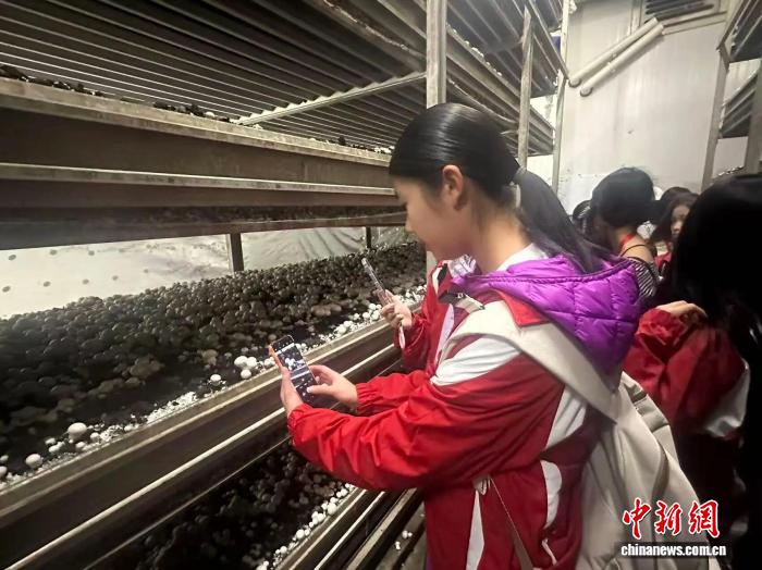 
上海各大医院黄牛代挂号电话票贩子号贩子网上预约挂号,住院检查加快,华裔青少年走进上海金山 感受现代农业与文旅融合魅力