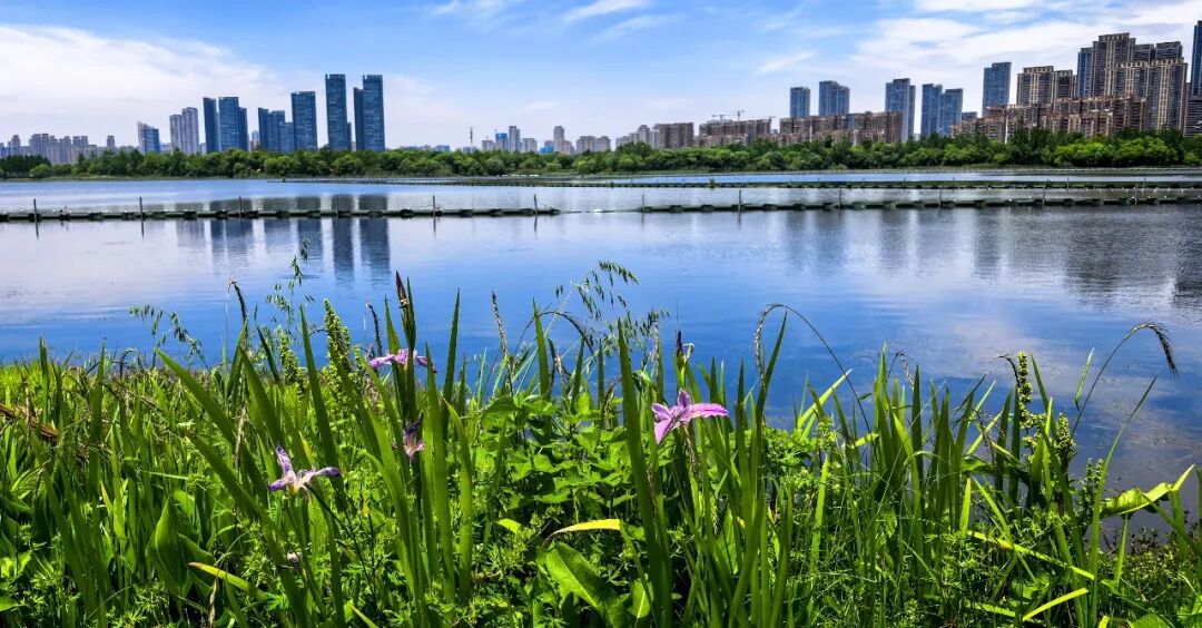 
北京中医药大学东直门医院黄牛代挂号电话票贩子号贩子网上预约挂号,住院检查加快,经济热点快评丨美丽中国建设成效怎样考核？群众满意程度是重要指标
