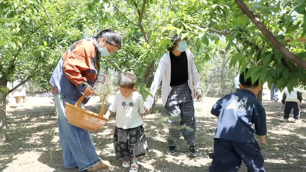 
南京市中医院黄牛代挂号电话票贩子号贩子网上预约挂号,住院检查加快,新华视点丨城乡文旅创新业态 体验经济激发消费新活力
