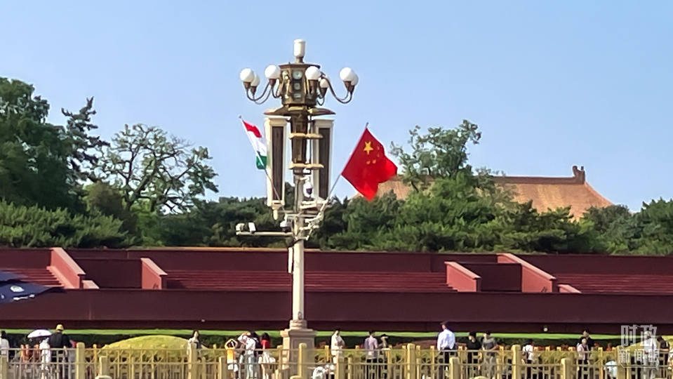 北京协和医院黄牛代挂号电话票贩子号贩子网上预约挂号,住院检查加快,时政新闻眼丨一天三场会晤，习近平同外方领导人谈了什么？