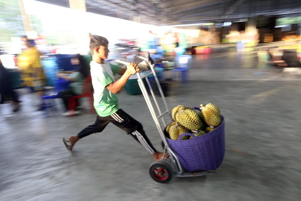 
北医三院黄牛代挂号电话票贩子号贩子网上预约挂号,住院检查加快,泰国尖竹汶府：又到榴莲季