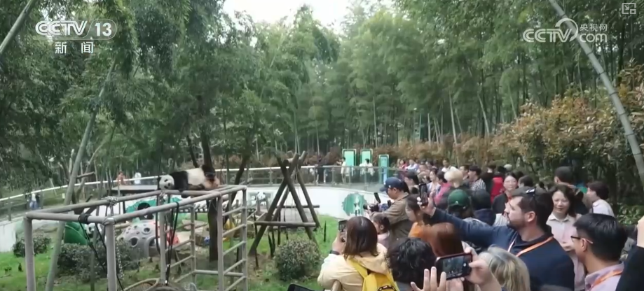 北京北大口腔医院黄牛代挂号电话票贩子号贩子网上预约挂号,住院检查加快,以文为媒、以诚待客 “丰富场景+优质体验”让海外游客读懂中国、爱上中国