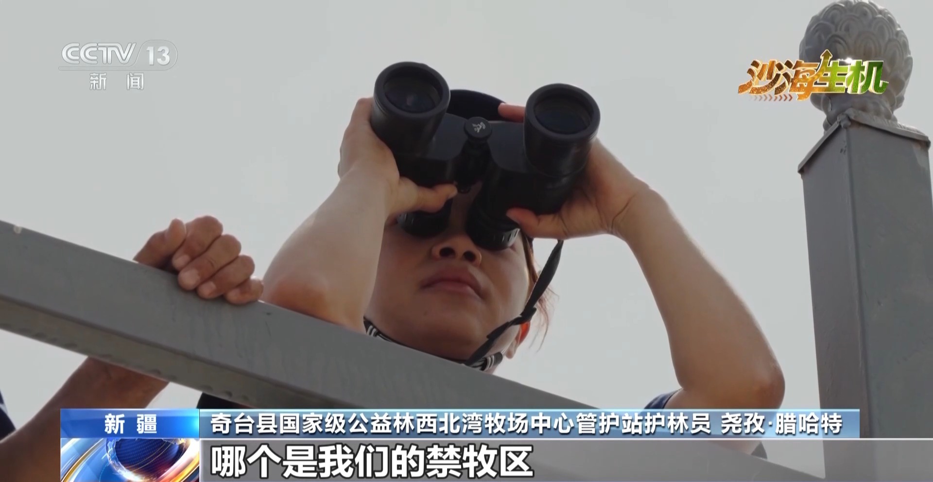 
西安西京医院黄牛代挂号电话票贩子号贩子网上预约挂号,住院检查加快,沙海变花海 揭秘古尔班通古特沙漠的“锁沙”密码