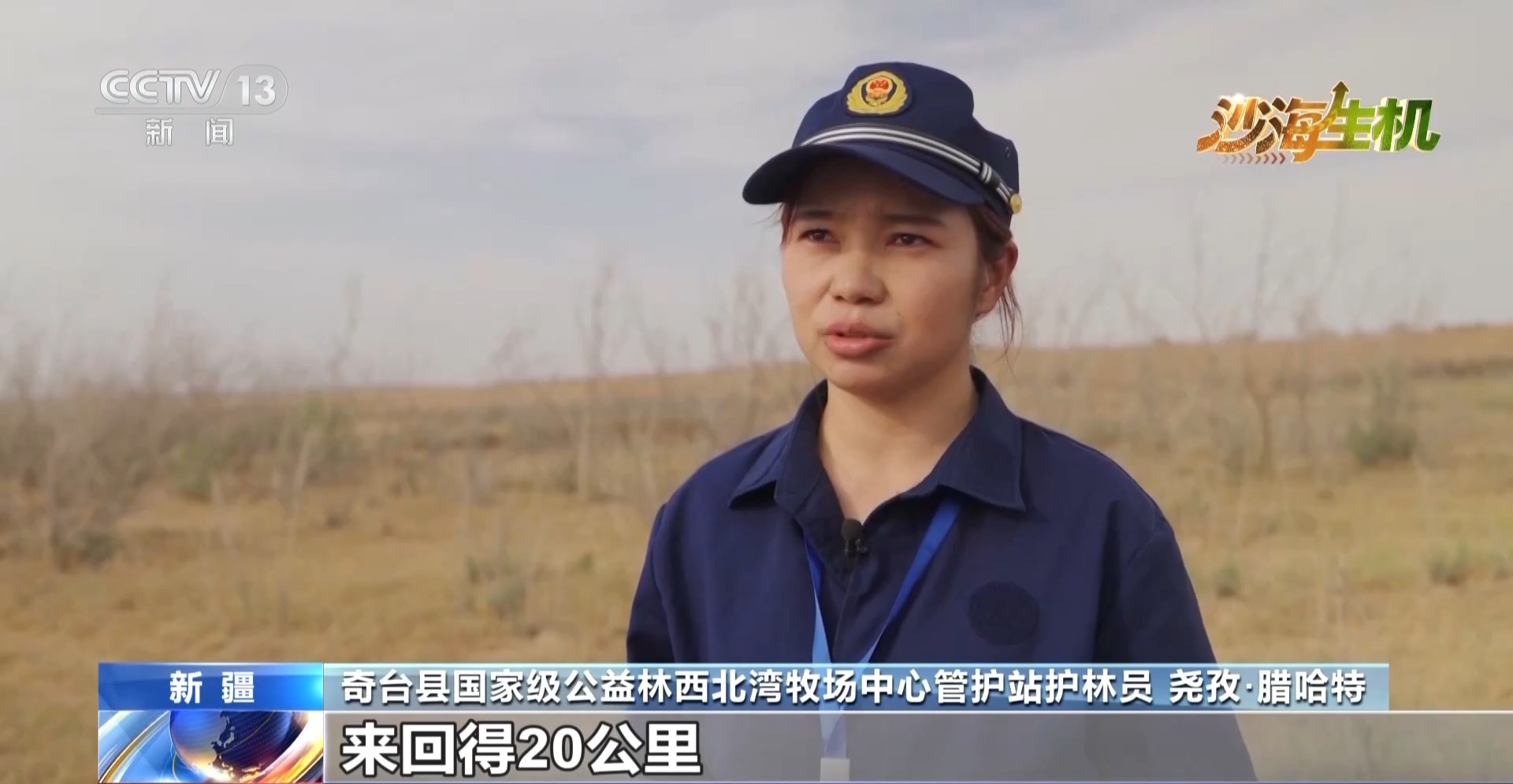 
西安西京医院黄牛代挂号电话票贩子号贩子网上预约挂号,住院检查加快,沙海变花海 揭秘古尔班通古特沙漠的“锁沙”密码