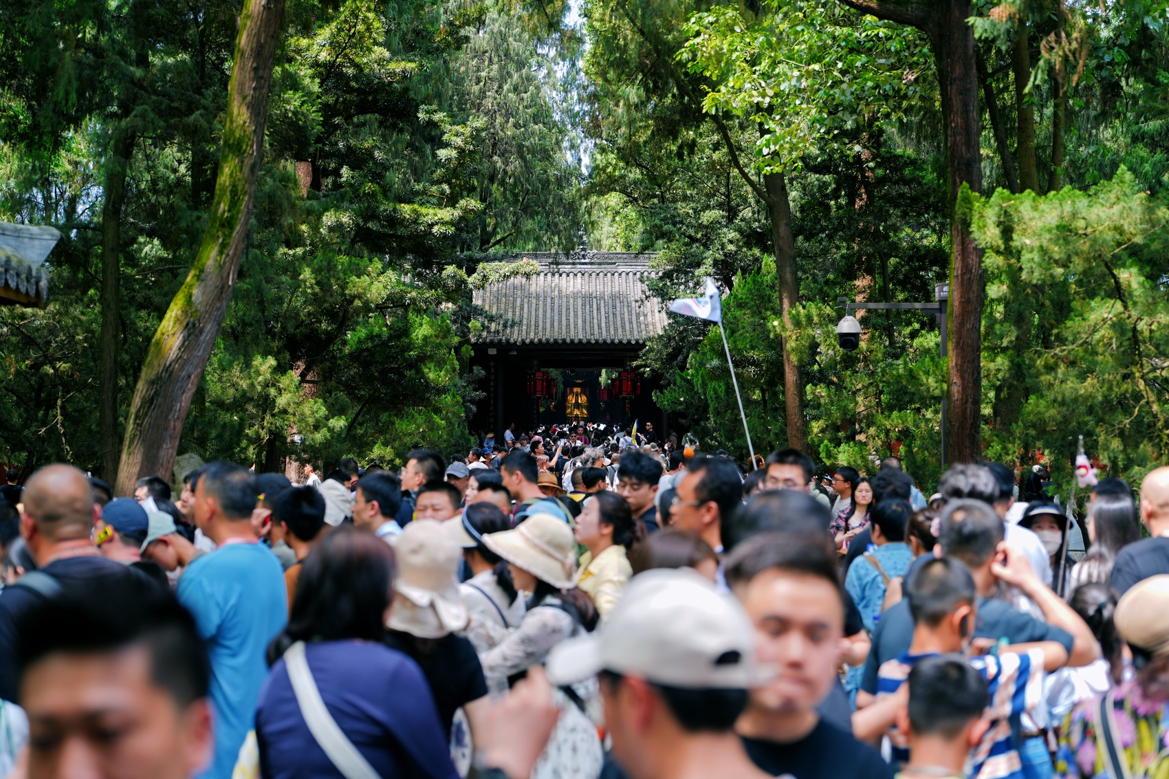 
浙江口腔医院黄牛代挂号电话票贩子号贩子网上预约挂号,住院检查加快,文脉华章丨四川的博物馆太夯了！1年1.06亿人次认证