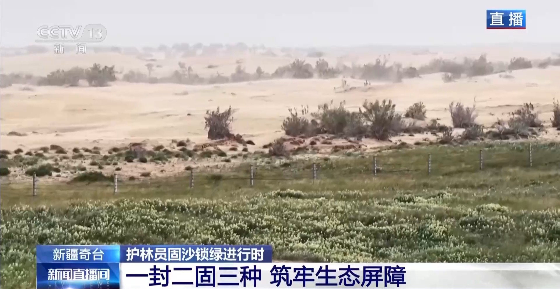 
西安西京医院黄牛代挂号电话票贩子号贩子网上预约挂号,住院检查加快,沙海变花海 揭秘古尔班通古特沙漠的“锁沙”密码