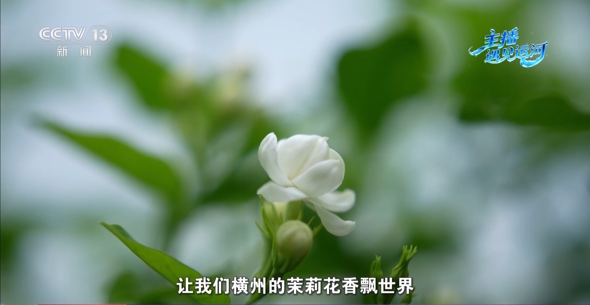 
江苏省中医院黄煌的号黄牛代挂号电话票贩子号贩子网上预约挂号,住院检查加快,传统产业如何玩出新花样？解锁平陆运河沿线的“香甜密码”