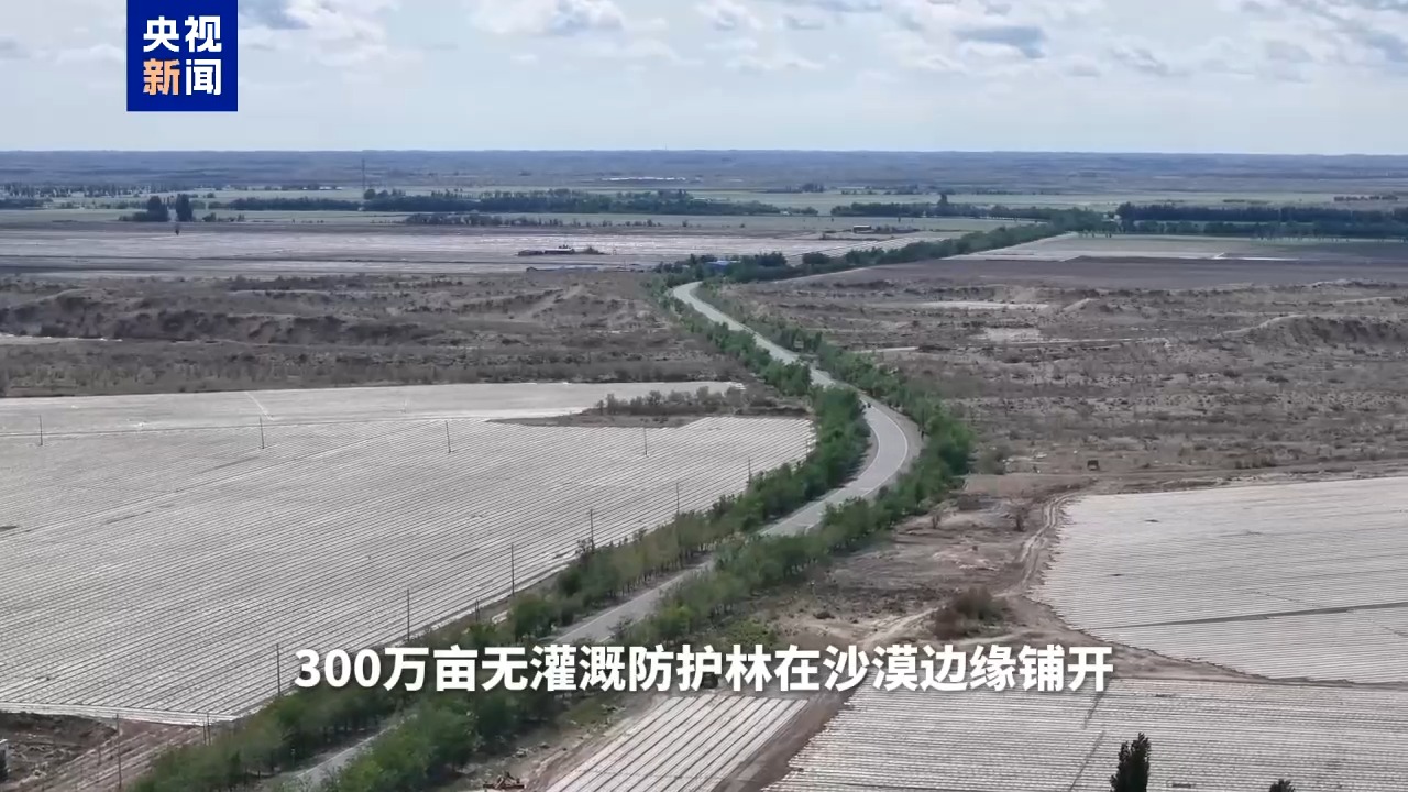 
北大医院黄牛代挂号电话票贩子号贩子网上预约挂号,住院检查加快,流沙变稳固还能跳高 揭秘新疆棉花秆治沙硬核技术