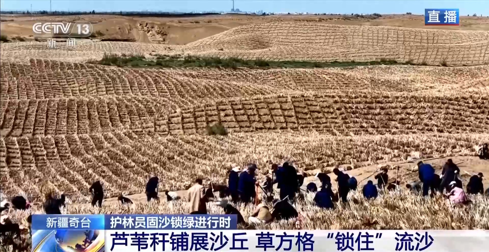 
西安西京医院黄牛代挂号电话票贩子号贩子网上预约挂号,住院检查加快,沙海变花海 揭秘古尔班通古特沙漠的“锁沙”密码