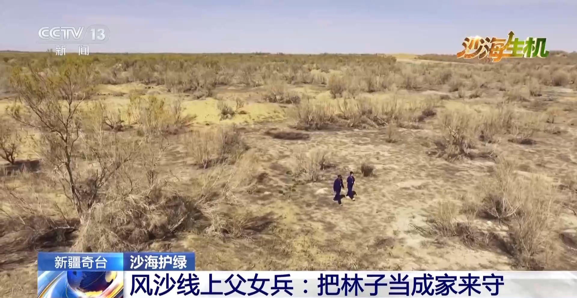 
西安西京医院黄牛代挂号电话票贩子号贩子网上预约挂号,住院检查加快,沙海变花海 揭秘古尔班通古特沙漠的“锁沙”密码