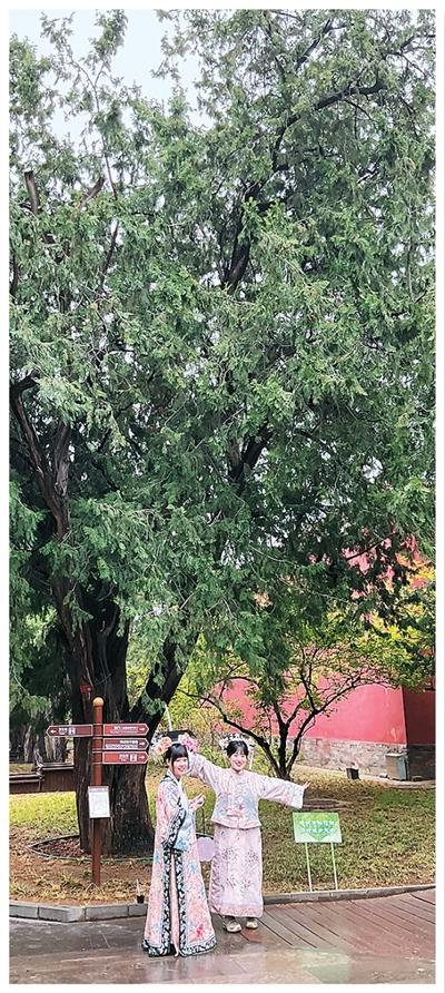 
杭州西溪医院黄牛代挂号电话票贩子号贩子网上预约挂号,住院检查加快,寻访北京中轴线上的古树名木