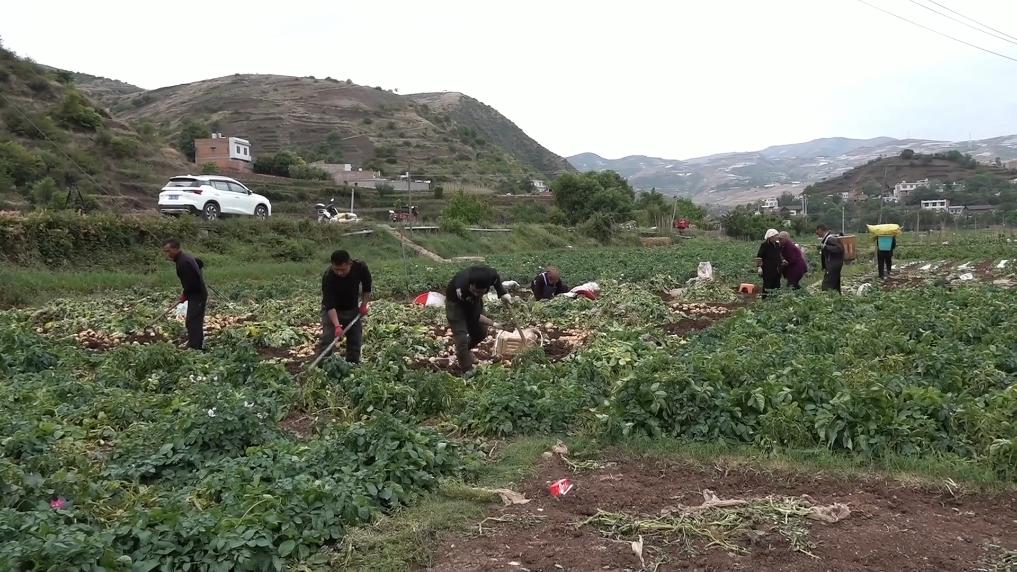 
北京大学第三医院黄牛代挂号电话票贩子号贩子网上预约挂号,住院检查加快,新华视点丨立足特色兴产业 绘就乡村振兴多彩画卷