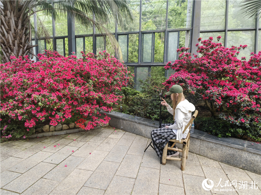 北京301医院黄牛代挂号电话票贩子号贩子网上预约挂号,住院检查加快,行进中国丨湖北龟峰山:花常在 业长青