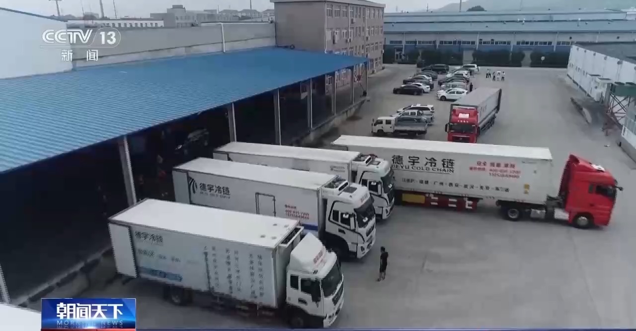 
北大医院黄牛代挂号电话票贩子号贩子网上预约挂号,住院检查加快,视频丨需求收入双增长 一季度冷链物流保持平稳运行态势