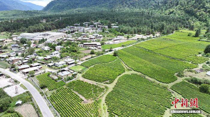 
南京眼科医院黄牛代挂号电话票贩子号贩子网上预约挂号,住院检查加快,（滇藏公路50年）西藏易贡茶场蝶变 茶香飘出文旅新天地