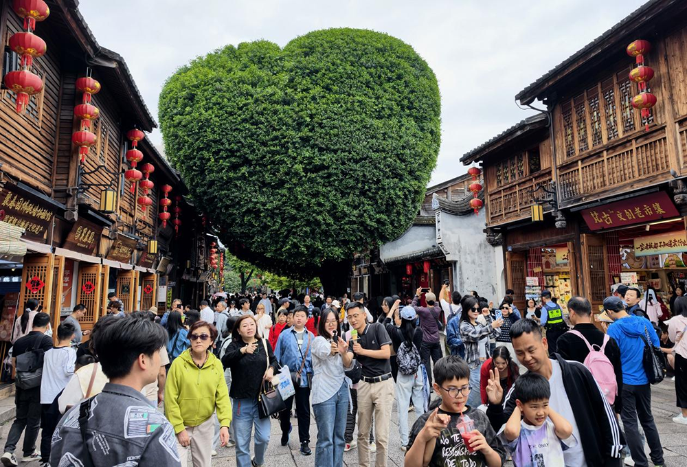 长春吉大二院黄牛代挂号电话票贩子号贩子网上预约挂号,住院检查加快,人民之心|古槐树下的问答