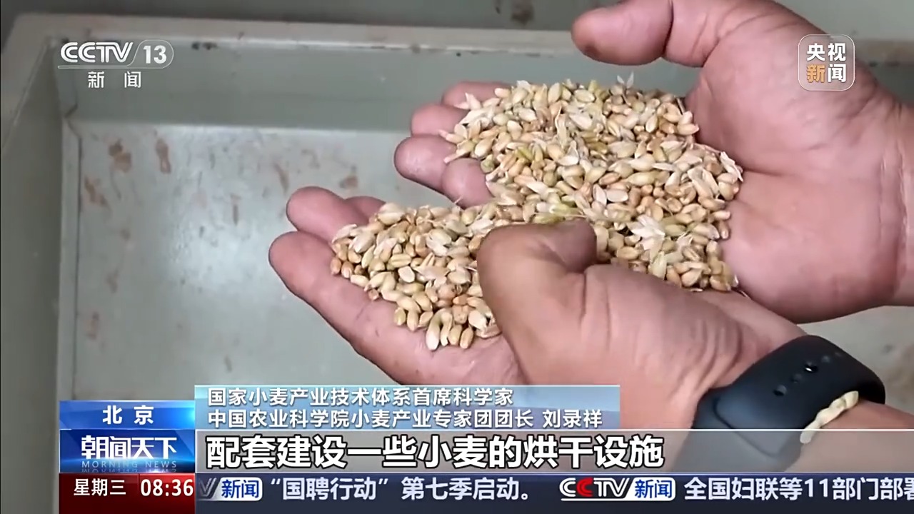 
杭州市妇幼保健院黄牛代挂号电话票贩子号贩子网上预约挂号,住院检查加快,视频丨“三夏”抢收正值汛期，如何科学开展“龙口夺粮”？