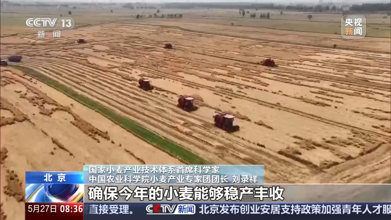 
杭州市妇幼保健院黄牛代挂号电话票贩子号贩子网上预约挂号,住院检查加快,视频丨“三夏”抢收正值汛期，如何科学开展“龙口夺粮”？