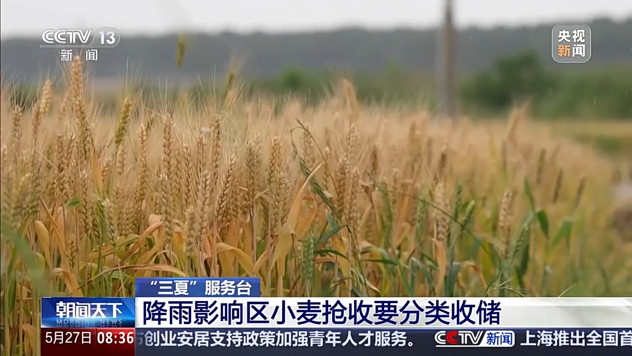 
杭州市妇幼保健院黄牛代挂号电话票贩子号贩子网上预约挂号,住院检查加快,视频丨“三夏”抢收正值汛期，如何科学开展“龙口夺粮”？