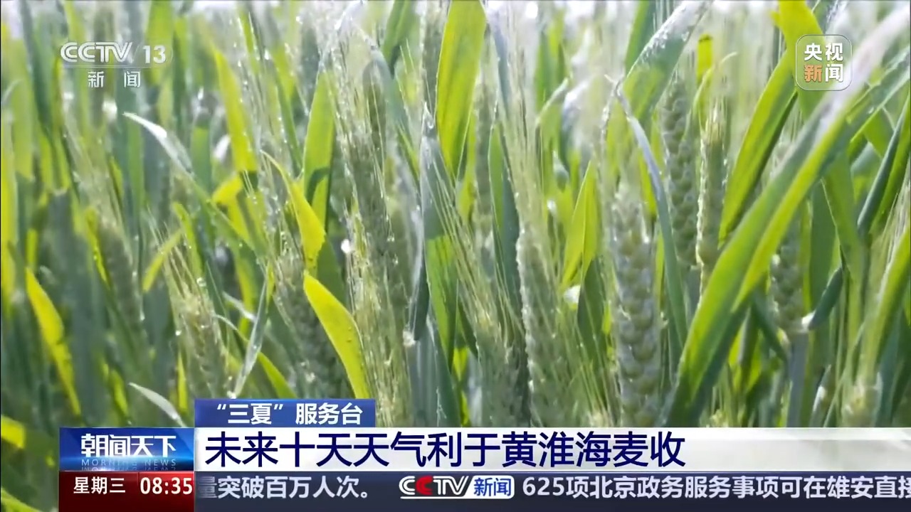 
杭州市妇幼保健院黄牛代挂号电话票贩子号贩子网上预约挂号,住院检查加快,视频丨“三夏”抢收正值汛期，如何科学开展“龙口夺粮”？