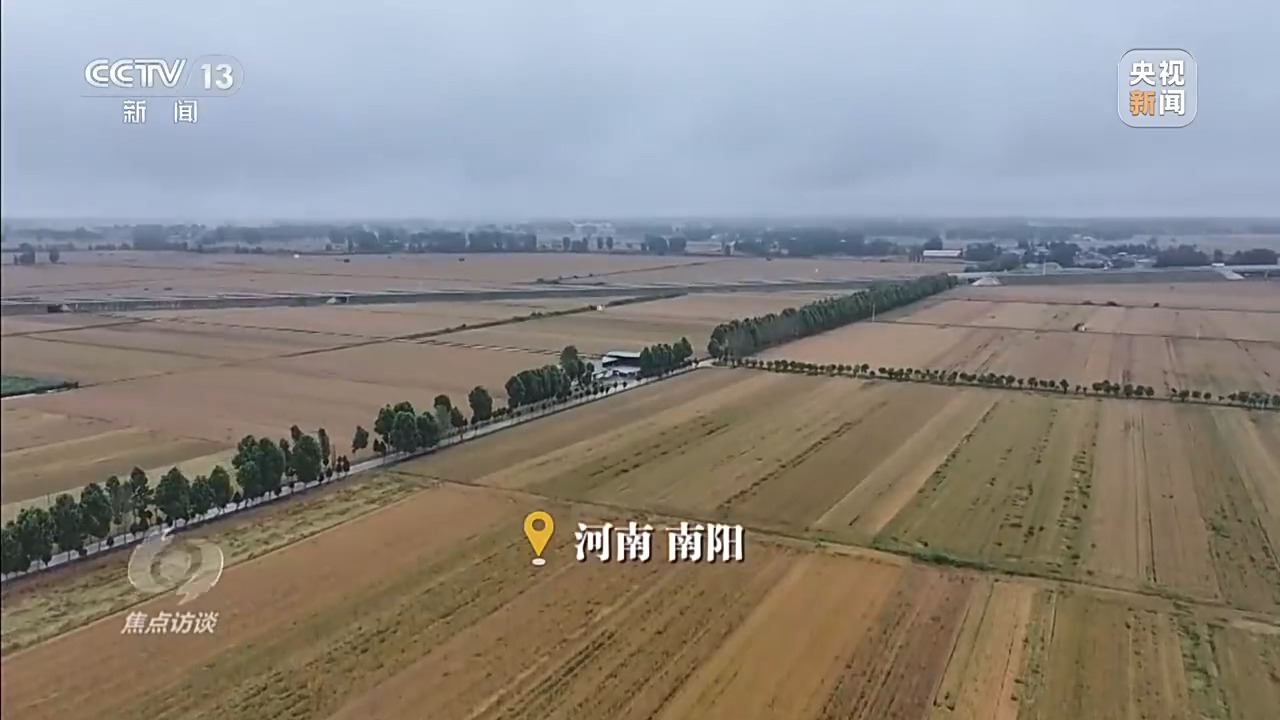 
西安西京医院黄牛代挂号电话票贩子号贩子网上预约挂号,住院检查加快,焦点访谈丨战阴雨 抢农时 湖北、河南、山东三大小麦主产区这样保丰收