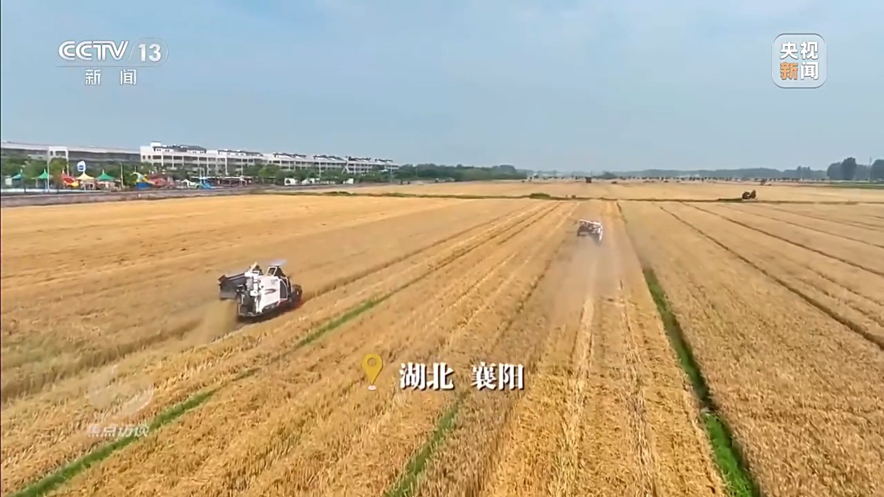 
西安西京医院黄牛代挂号电话票贩子号贩子网上预约挂号,住院检查加快,焦点访谈丨战阴雨 抢农时 湖北、河南、山东三大小麦主产区这样保丰收