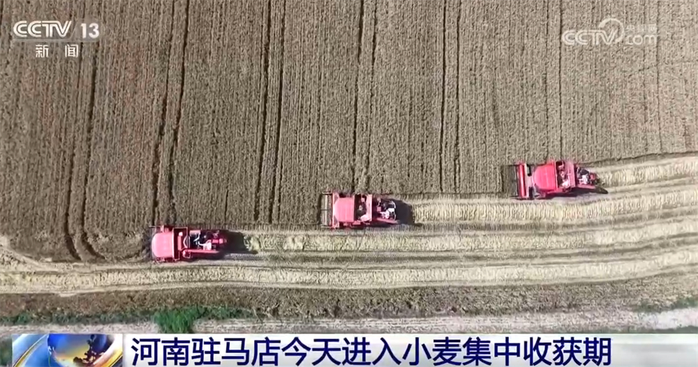 
上海肿瘤医院黄牛代挂号电话票贩子号贩子网上预约挂号,住院检查加快,从“三夏”麦收地图看全国大规模小麦机收“时刻表” 多举措减损助丰收