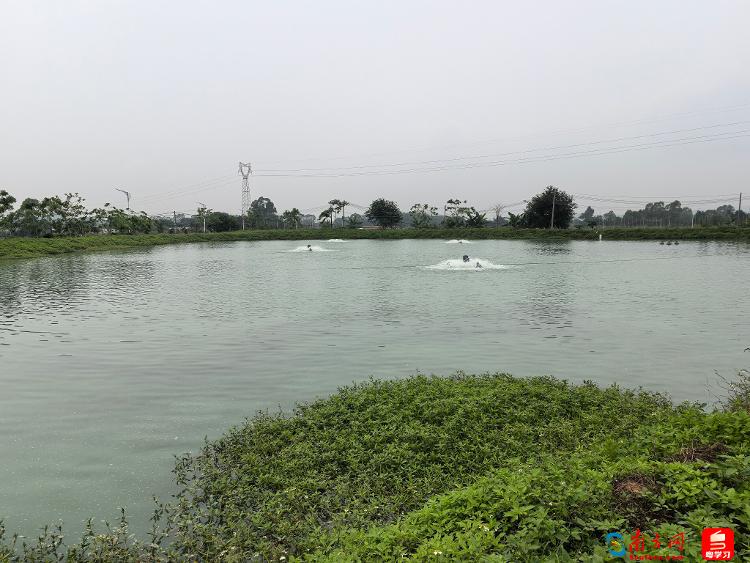 
浙江第一医院黄牛代挂号电话票贩子号贩子网上预约挂号,住院检查加快,追光的你 | 奔赴乡野的青春