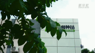
回龙观医院黄牛代挂号电话票贩子号贩子网上预约挂号,住院检查加快,Vlog·我在大陆“种春天”丨台农“种苗匠”的田园纽带