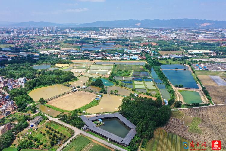 
浙江第一医院黄牛代挂号电话票贩子号贩子网上预约挂号,住院检查加快,追光的你 | 奔赴乡野的青春