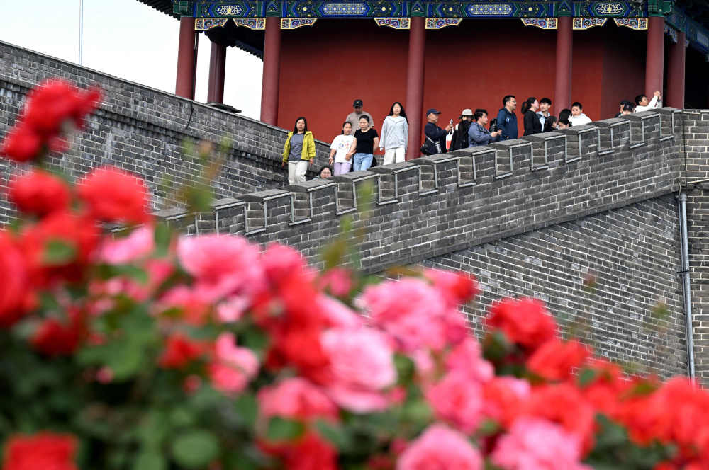 
广州各大医院黄牛代挂号电话票贩子号贩子网上预约挂号,住院检查加快,乐享“五一”假期