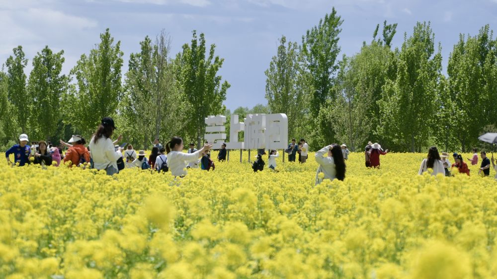 
广州各大医院黄牛代挂号电话票贩子号贩子网上预约挂号,住院检查加快,乐享“五一”假期