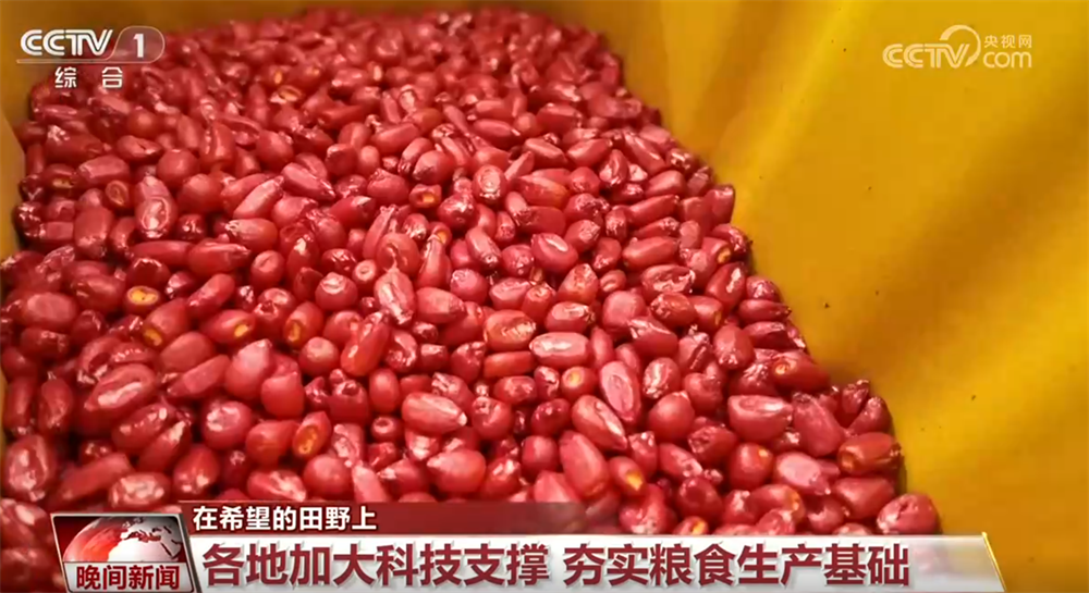 
杭州各大医院黄牛代挂号电话票贩子号贩子网上预约挂号,住院检查加快,各地加大科技支撑夯实粮食生产基础 希望的田野绘就“智慧春耕图”